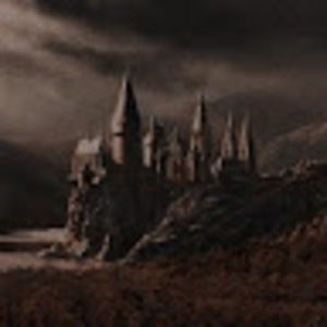 Meet your Posher, Annie